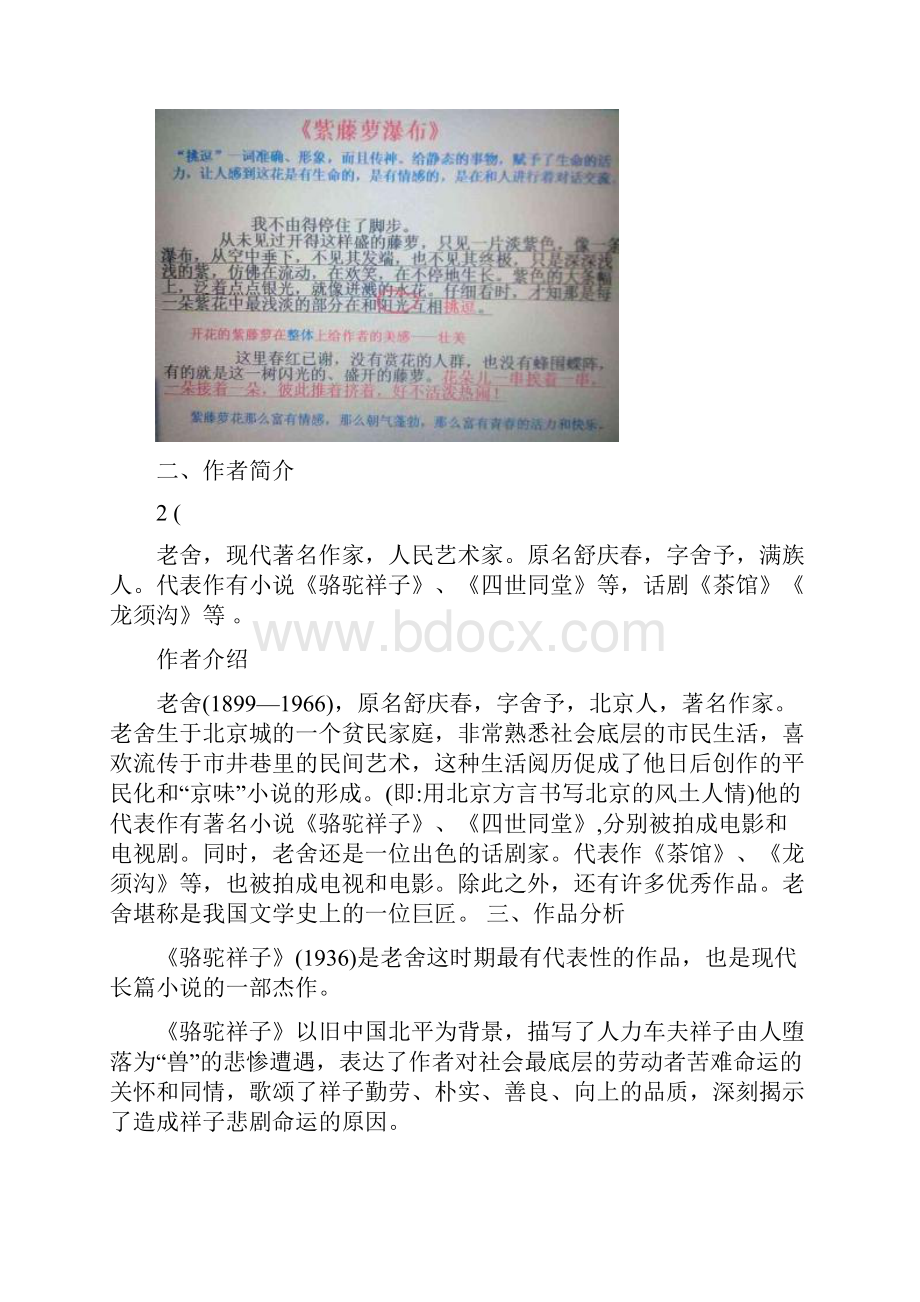 七年级语文下册第三单元名著导读《骆驼祥子》圈点与批注教案.docx_第3页