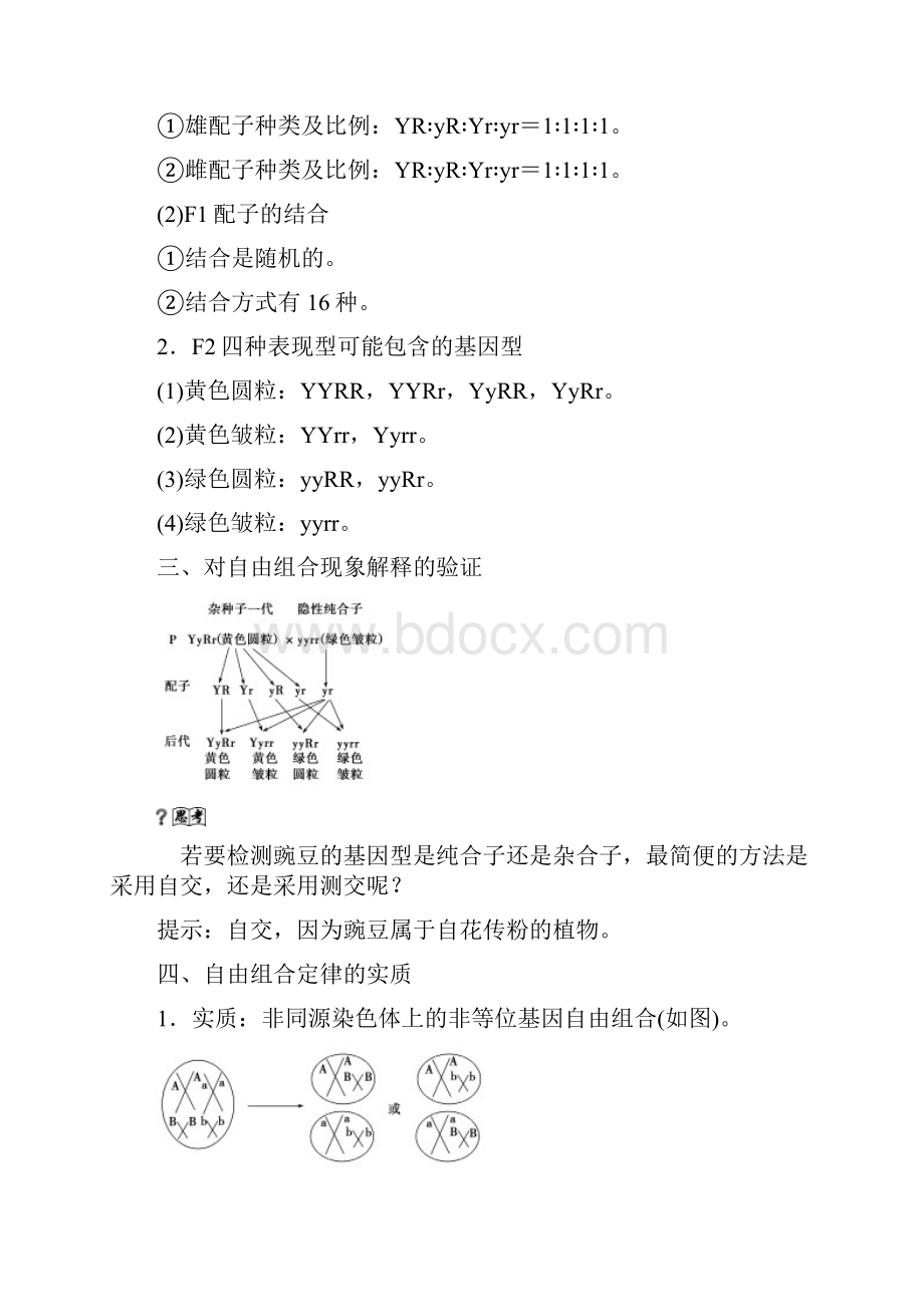 优化方案高考生物大一轮复习第五单元遗传的基本规律与伴性遗传第16讲孟德尔的豌豆杂交实验二讲义.docx_第2页