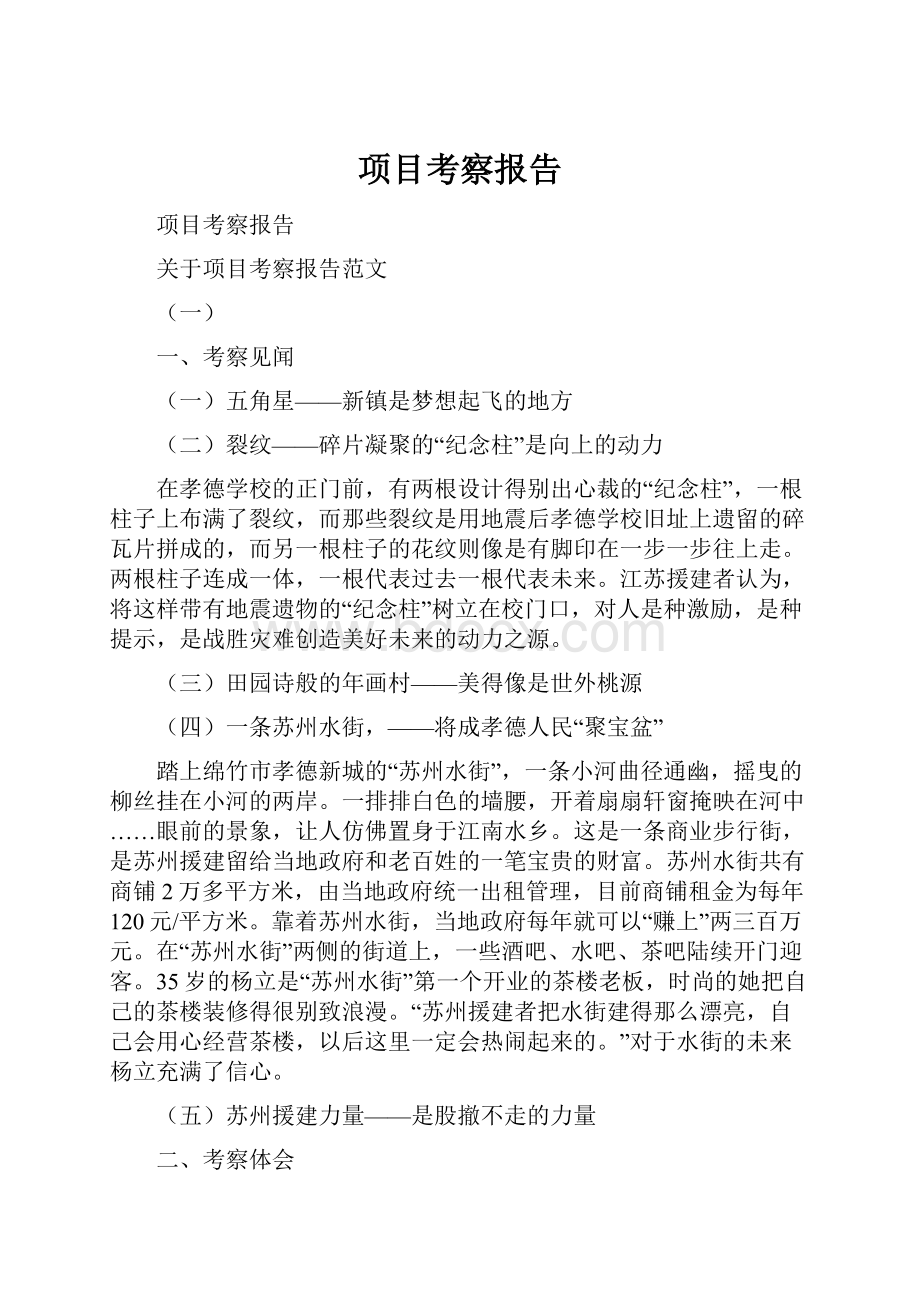 项目考察报告文档格式.docx