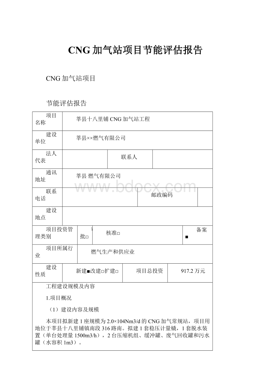 CNG加气站项目节能评估报告Word文档下载推荐.docx