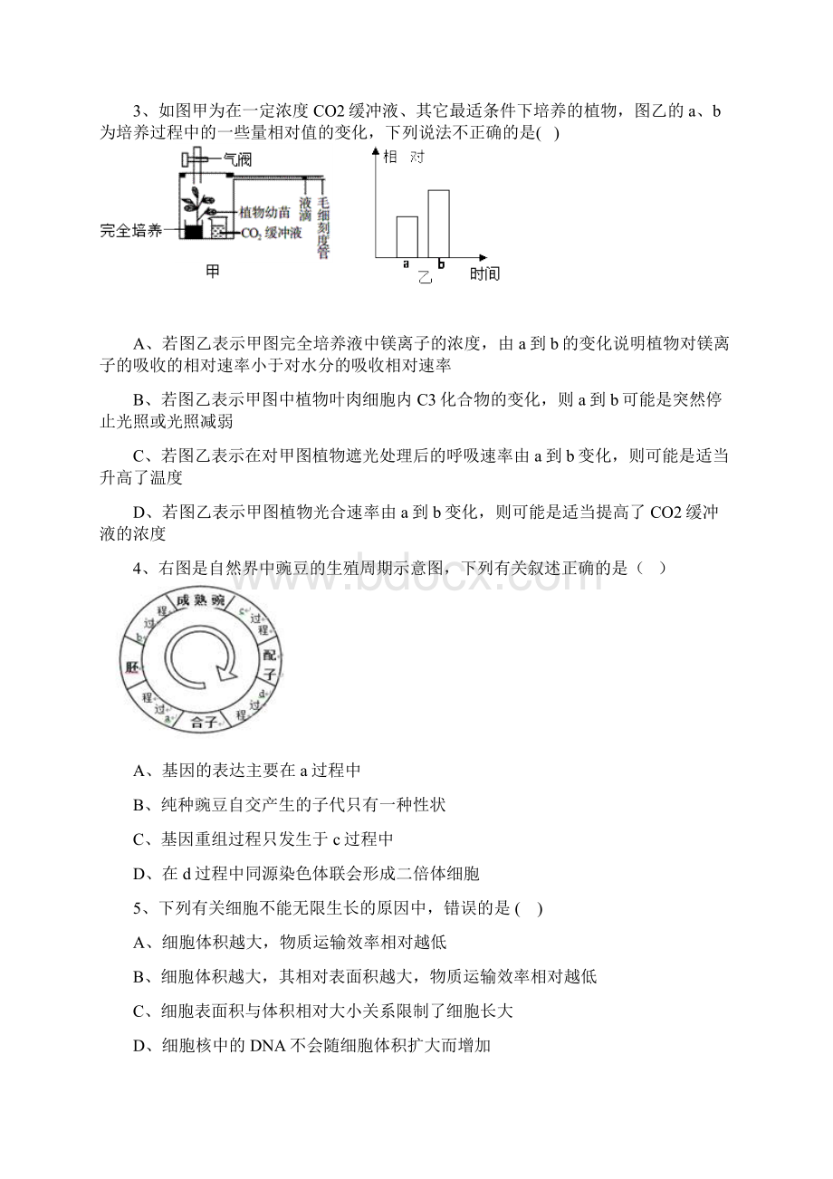 高考生物难点光合作用和细胞呼吸.docx_第2页