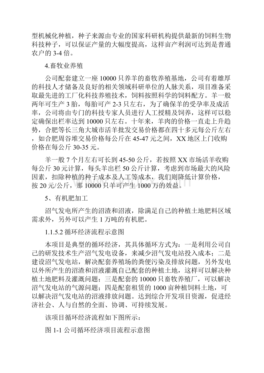 新建循环经济沼气发电高科技项目可行性研究报告.docx_第3页