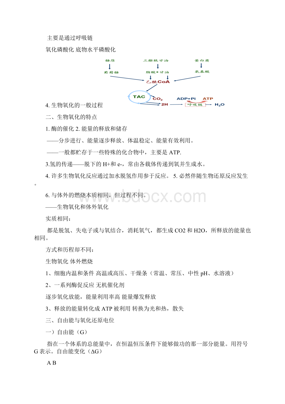 生物氧化.docx_第2页