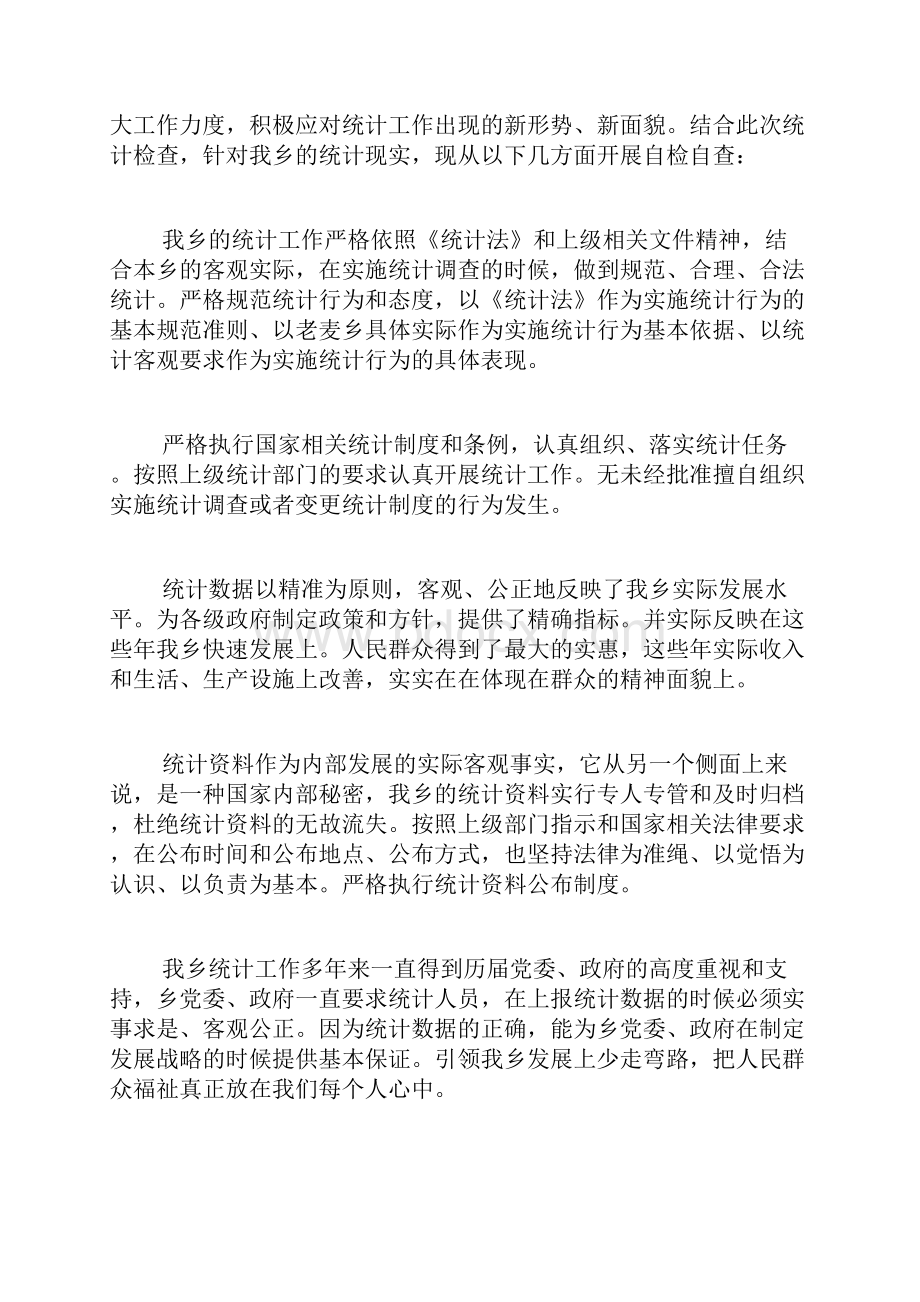 统计数据自查报告4篇.docx_第3页