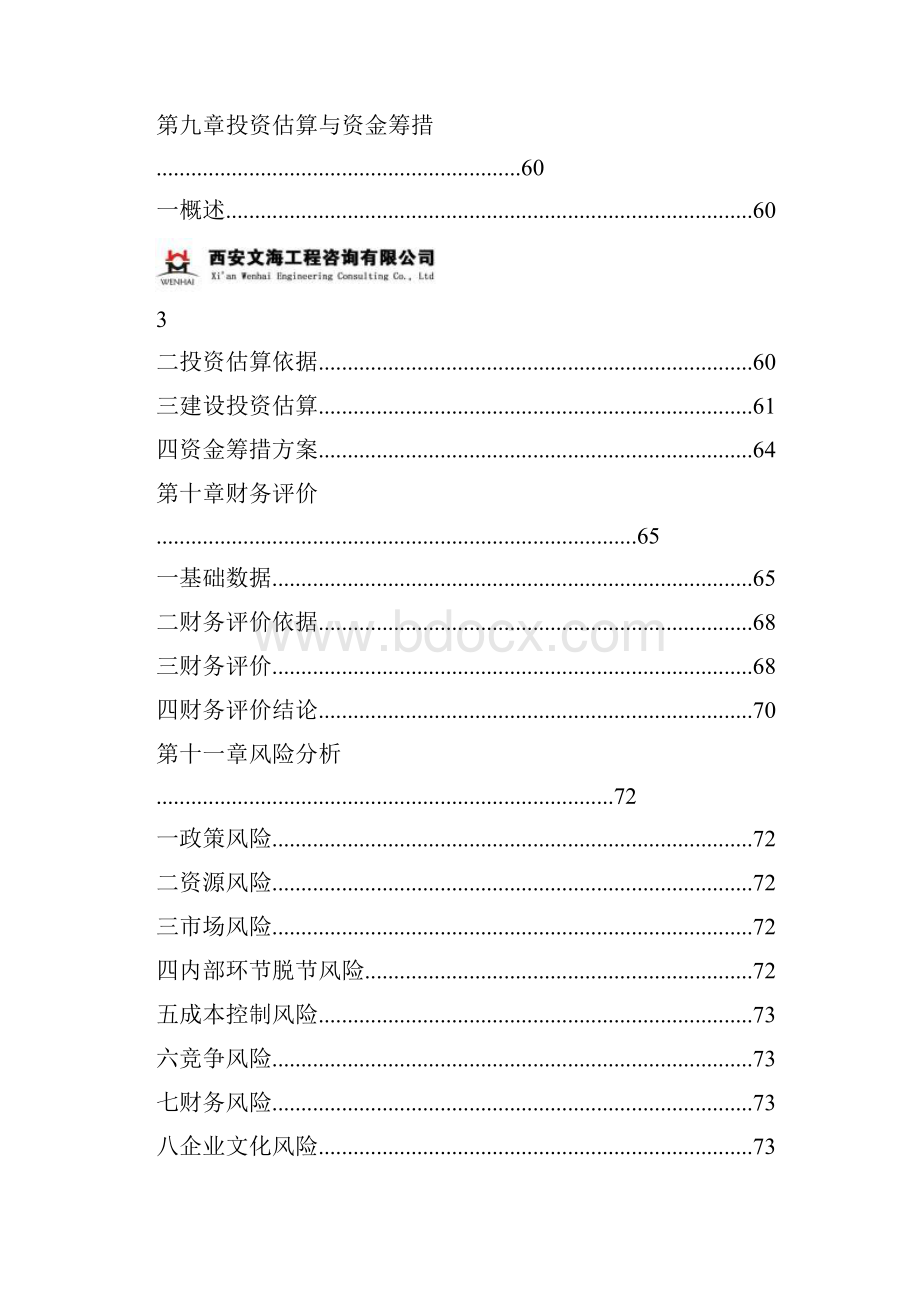 陕西58生活电子商务服务平台项目资金申请报告.docx_第3页