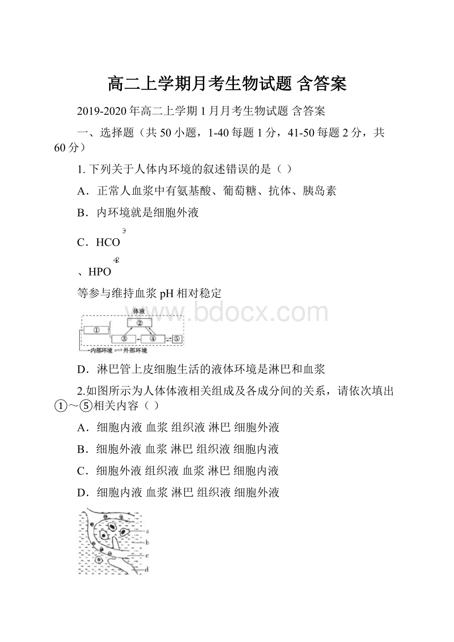 高二上学期月考生物试题 含答案.docx_第1页