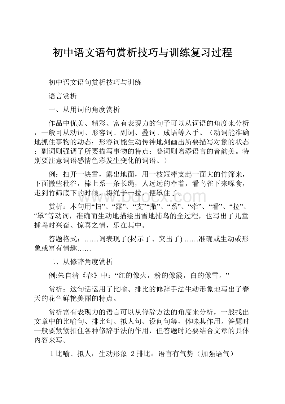 初中语文语句赏析技巧与训练复习过程文档格式.docx_第1页