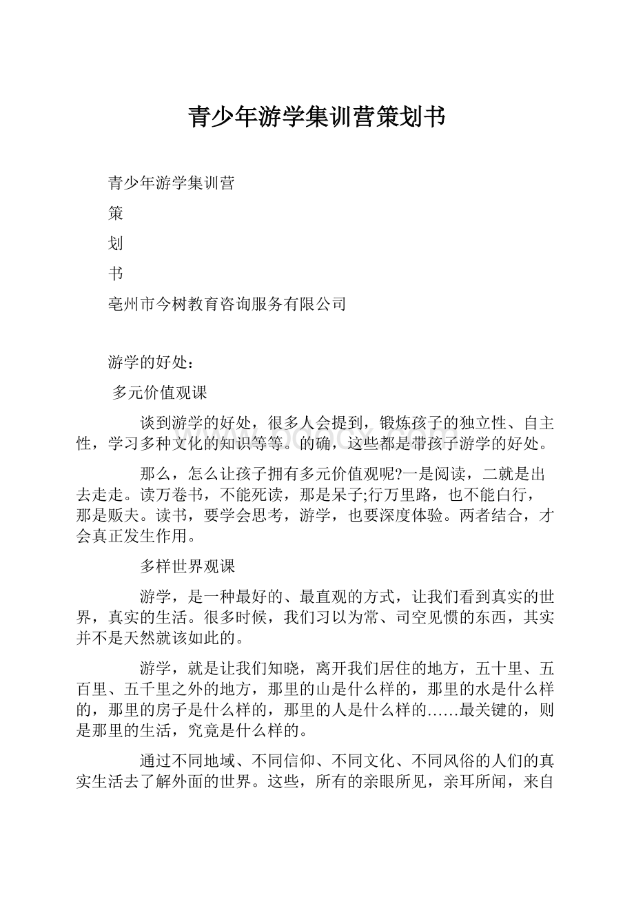 青少年游学集训营策划书.docx