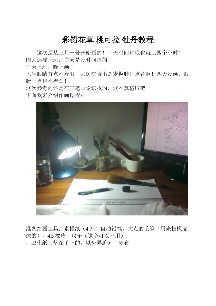 彩铅花草 桃可拉 牡丹教程文档格式.docx