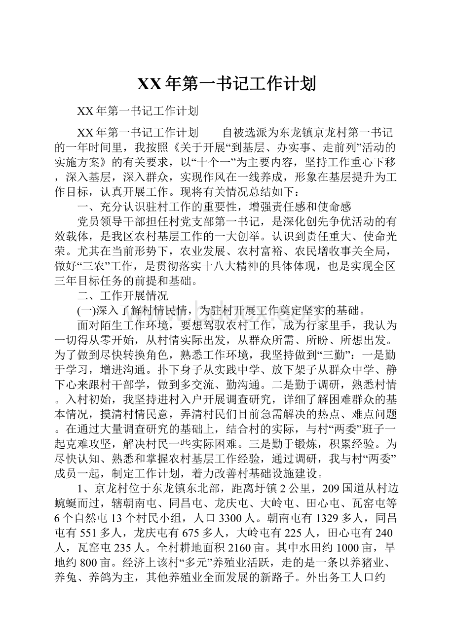 XX年第一书记工作计划文档格式.docx_第1页