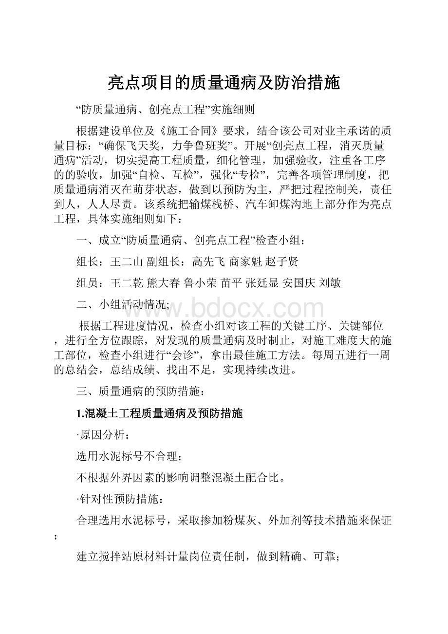 亮点项目的质量通病及防治措施.docx