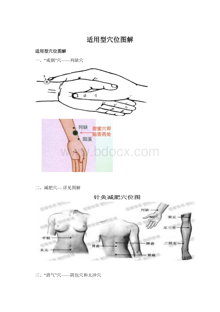 适用型穴位图解.docx_第1页