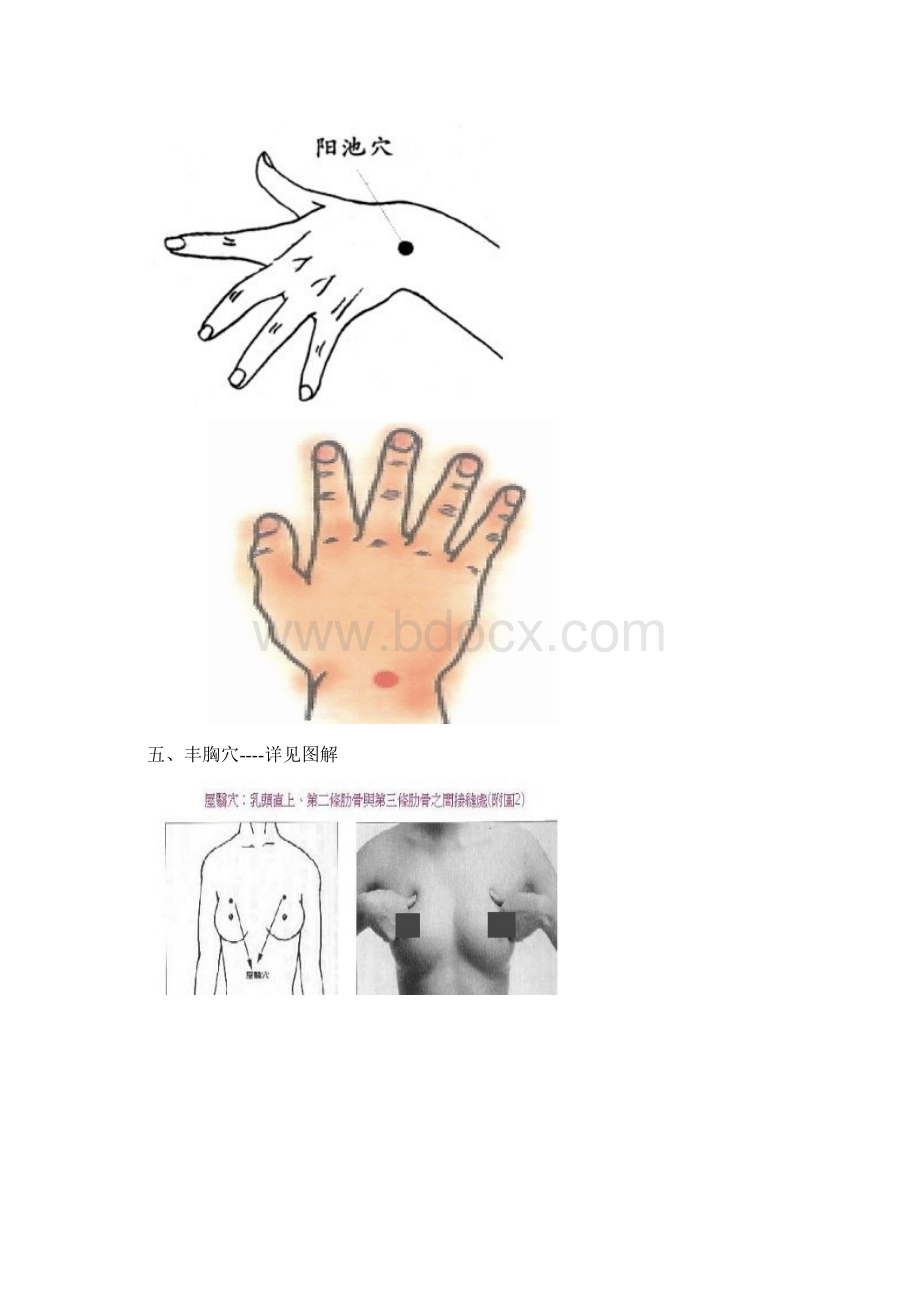 适用型穴位图解.docx_第3页