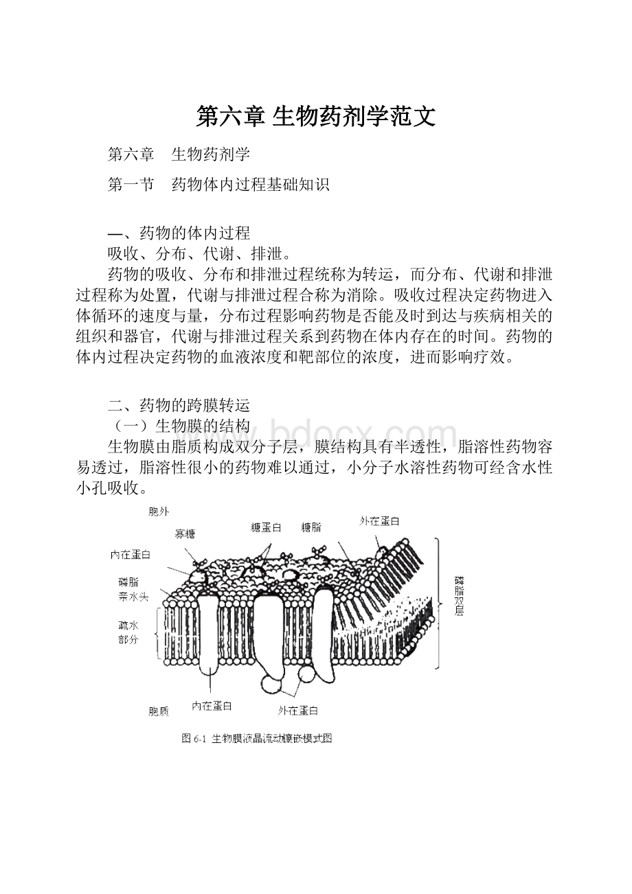 第六章 生物药剂学范文.docx