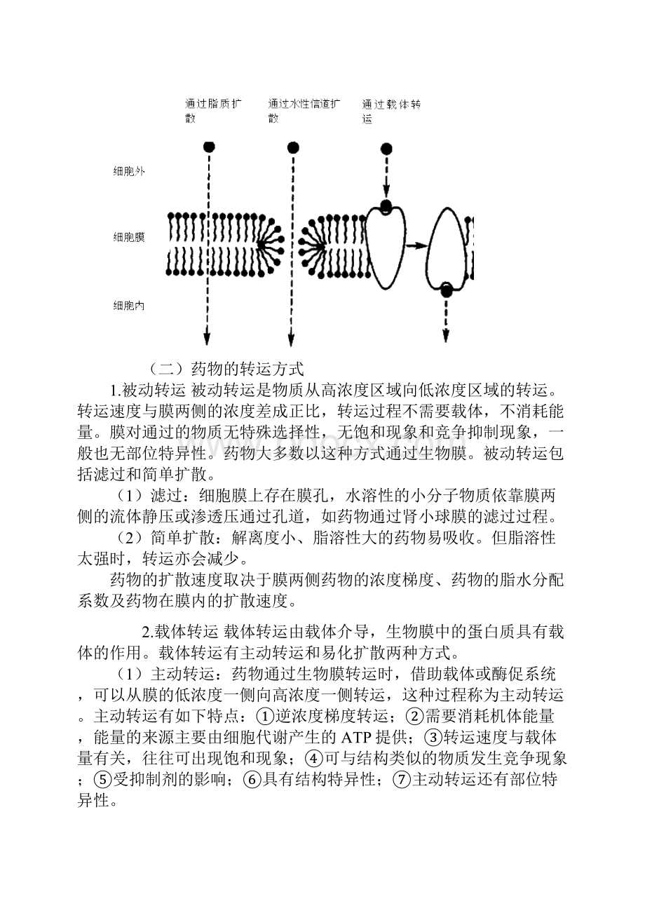 第六章 生物药剂学范文Word文档下载推荐.docx_第2页