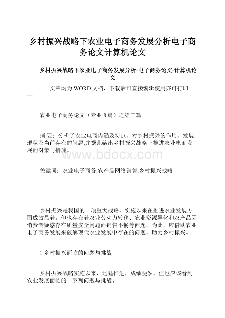 乡村振兴战略下农业电子商务发展分析电子商务论文计算机论文Word格式文档下载.docx