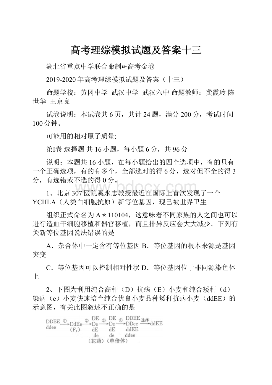 高考理综模拟试题及答案十三Word格式文档下载.docx