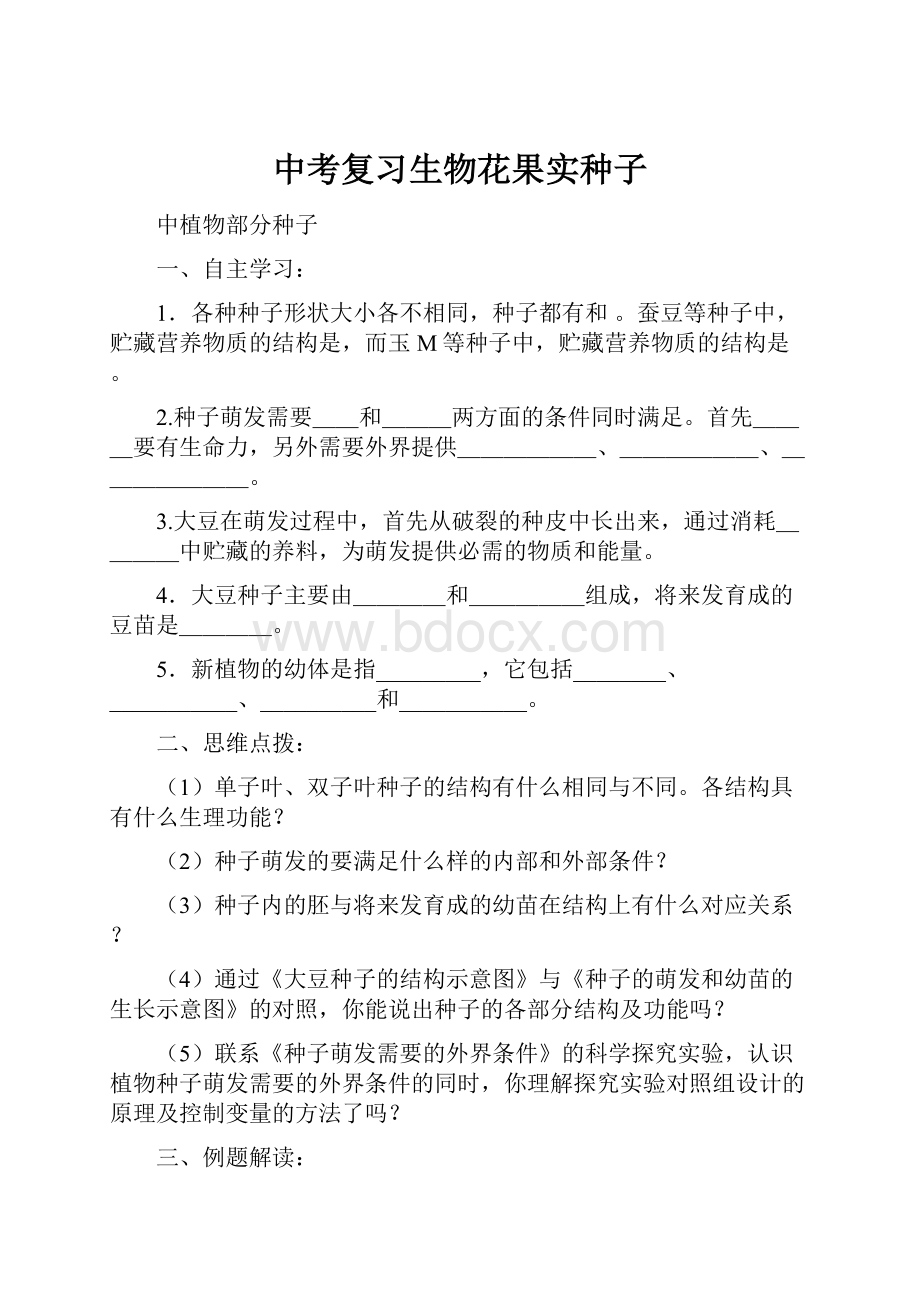 中考复习生物花果实种子.docx_第1页