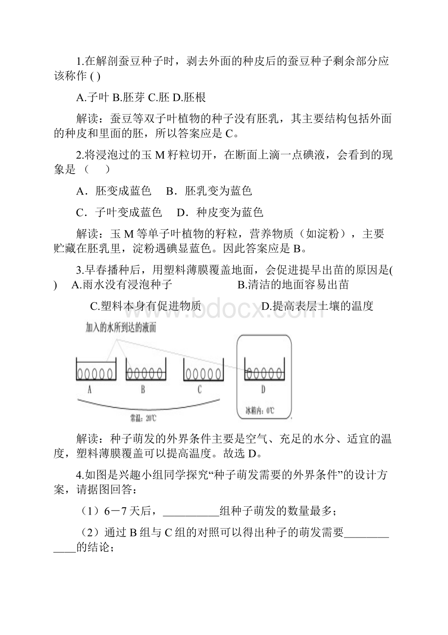 中考复习生物花果实种子.docx_第2页