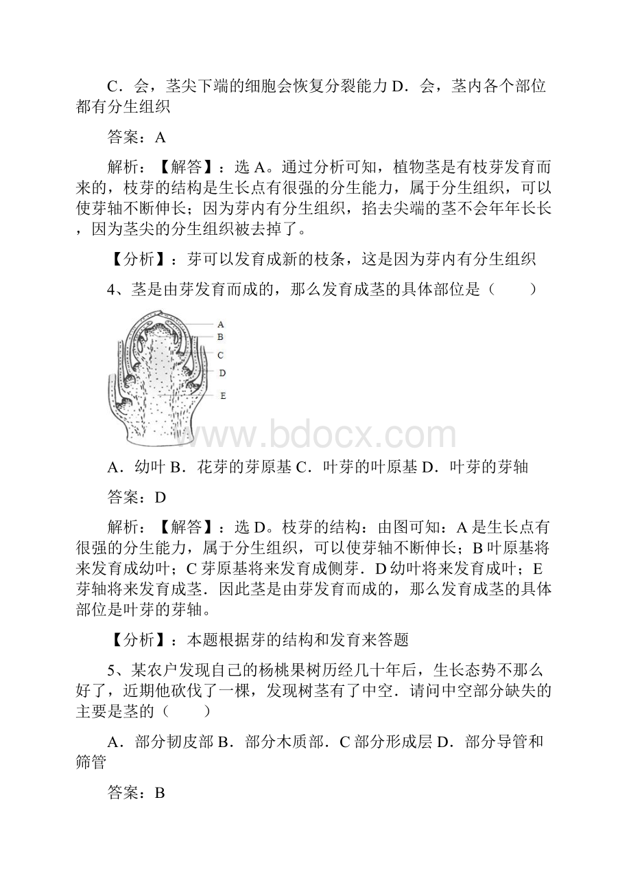 苏教版秋七年级生物上册习题第三单元第五章第四节植物茎的输导功能有答案.docx_第2页