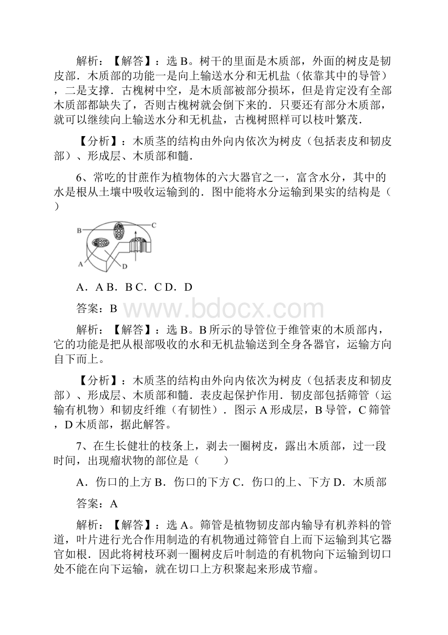 苏教版秋七年级生物上册习题第三单元第五章第四节植物茎的输导功能有答案.docx_第3页