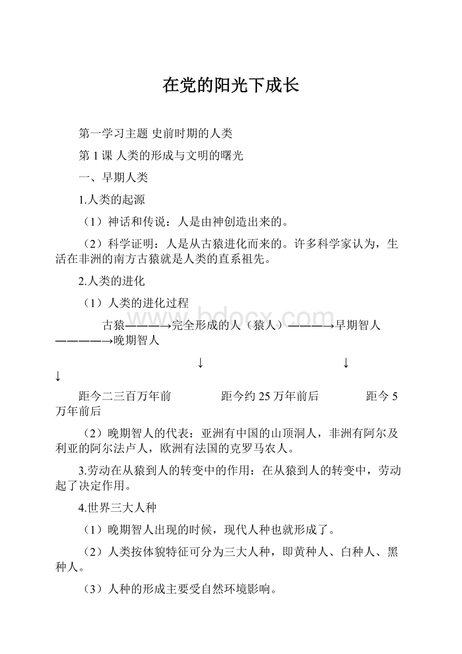 在党的阳光下成长Word格式.docx_第1页