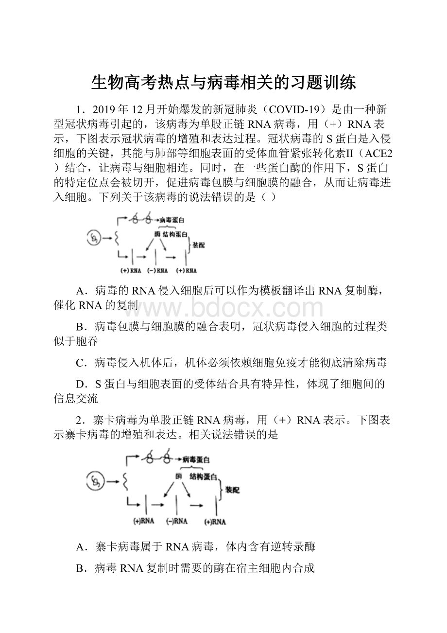 生物高考热点与病毒相关的习题训练Word格式.docx