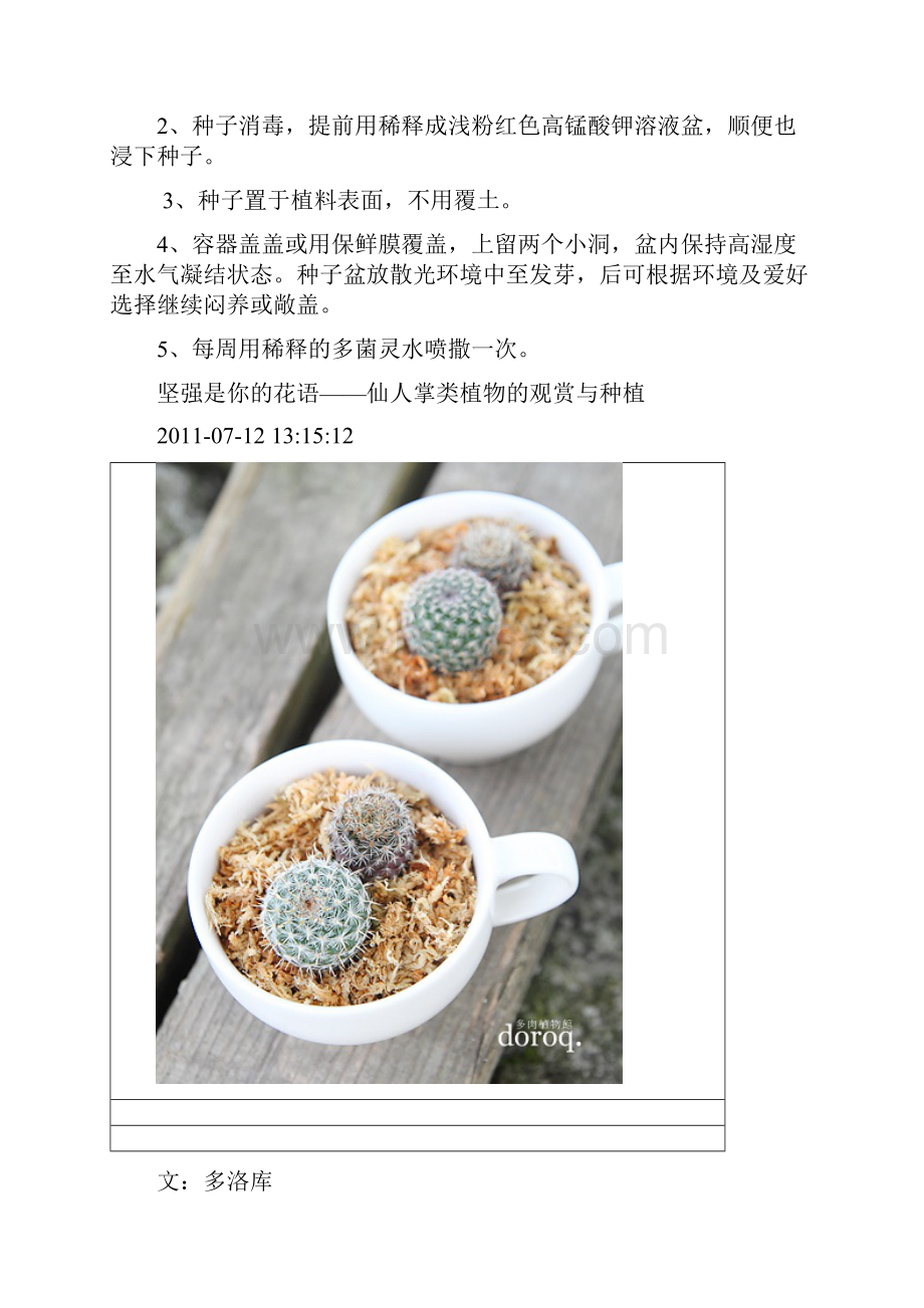 仙人球类植物.docx_第2页