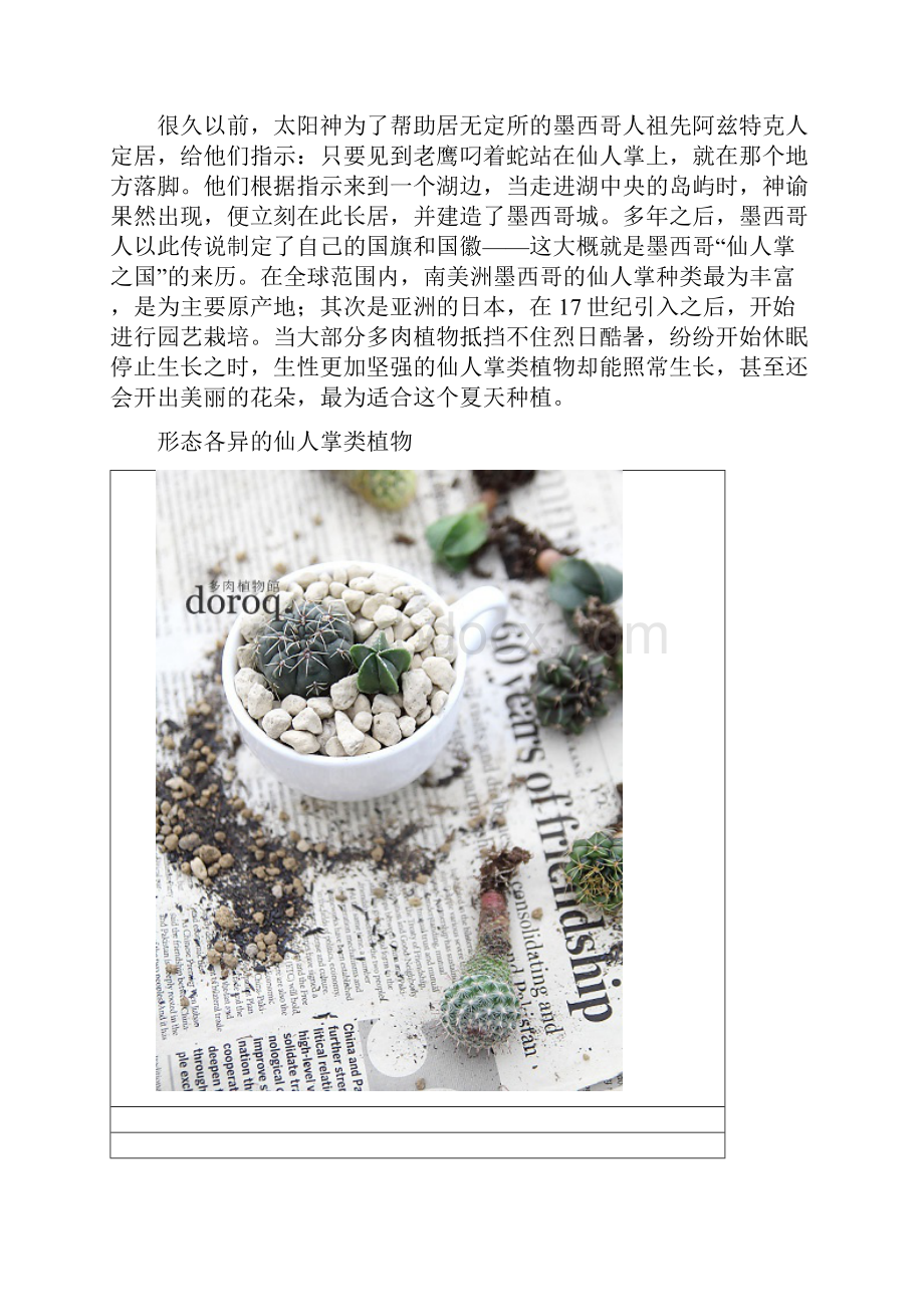 仙人球类植物.docx_第3页