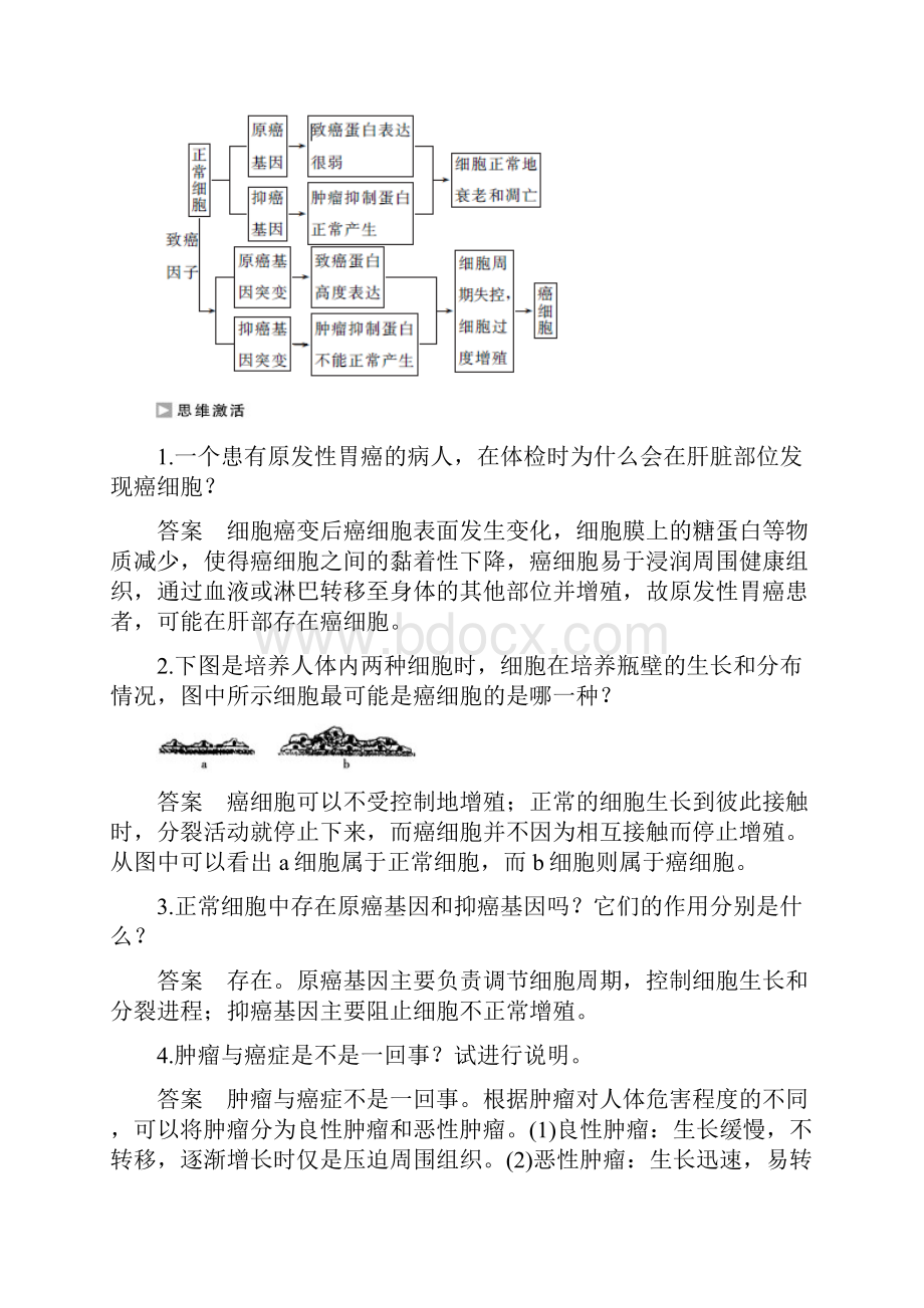 江苏省启东市高中生物 第五章 细胞增殖分化衰老和.docx_第3页