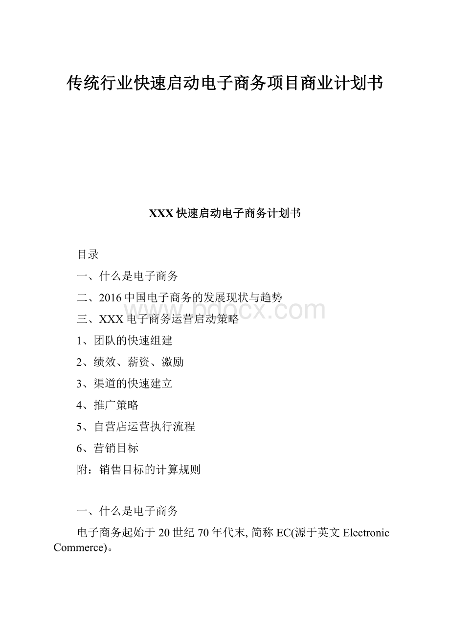 传统行业快速启动电子商务项目商业计划书.docx