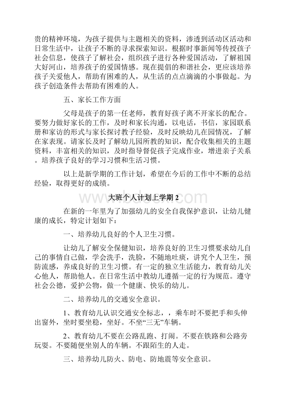 大班个人计划上学期精选10篇.docx_第2页