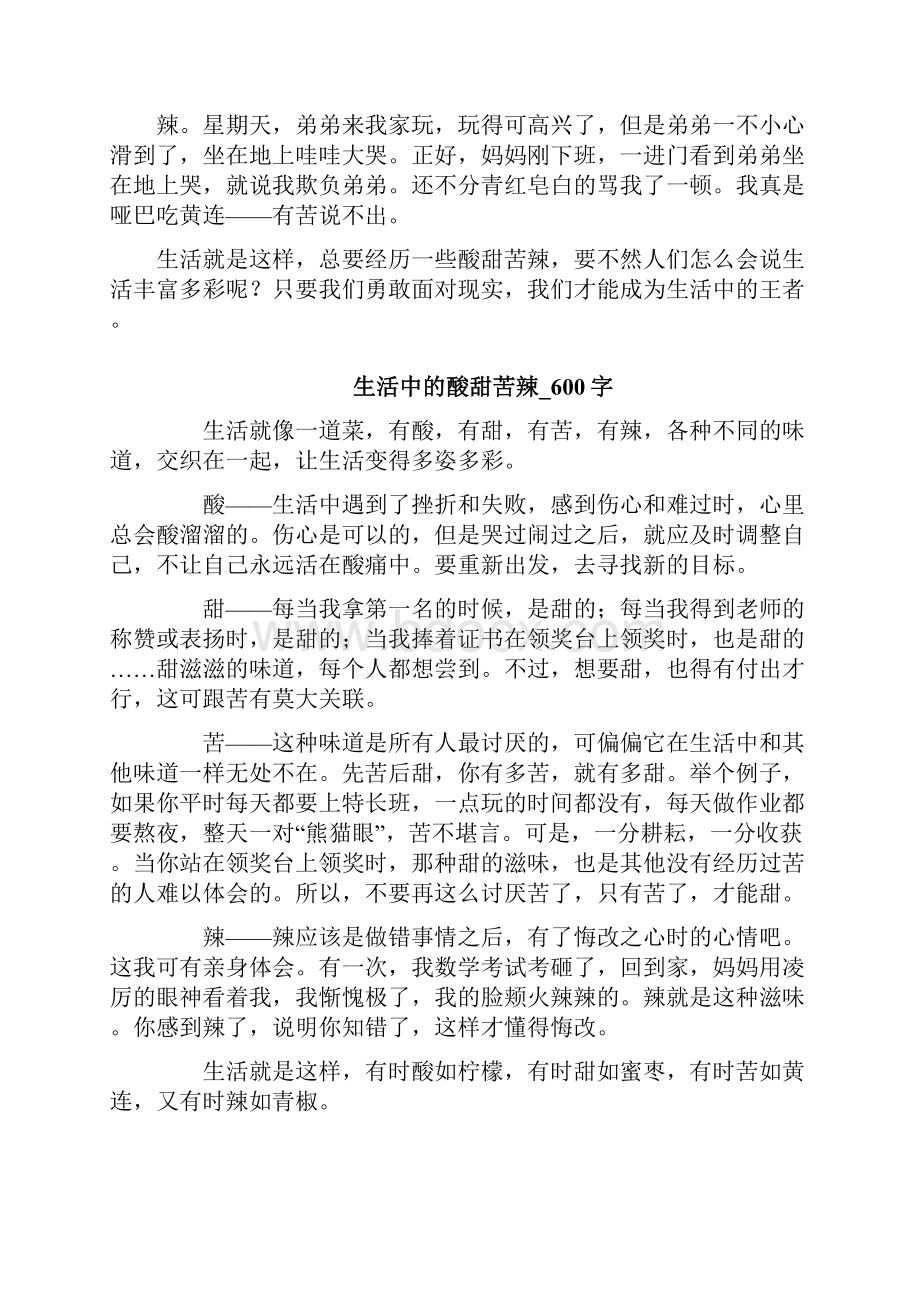 生活的酸甜苦辣文档格式.docx_第3页