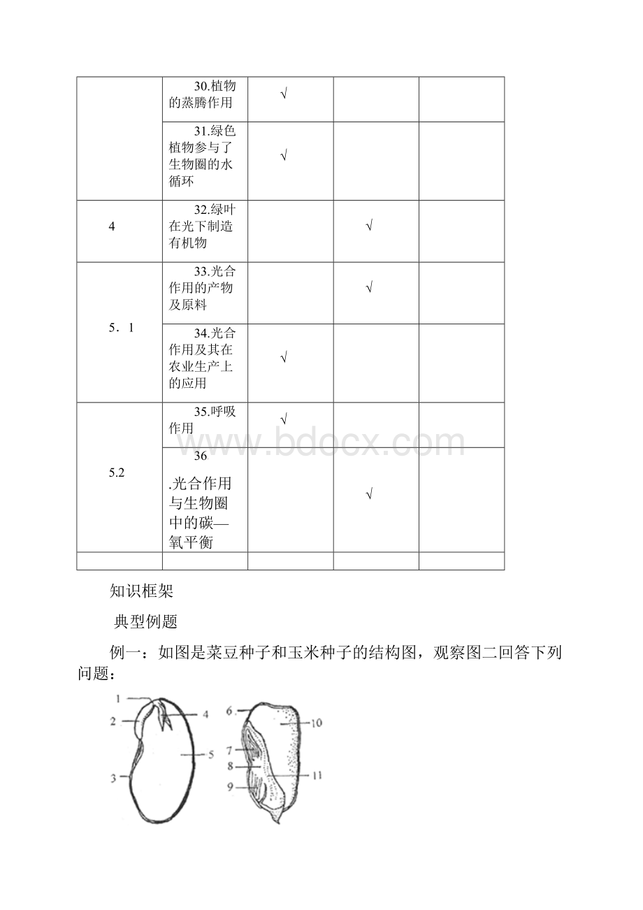 中考生物一轮复习 专题二 生物圈中的绿色植物学案.docx_第2页