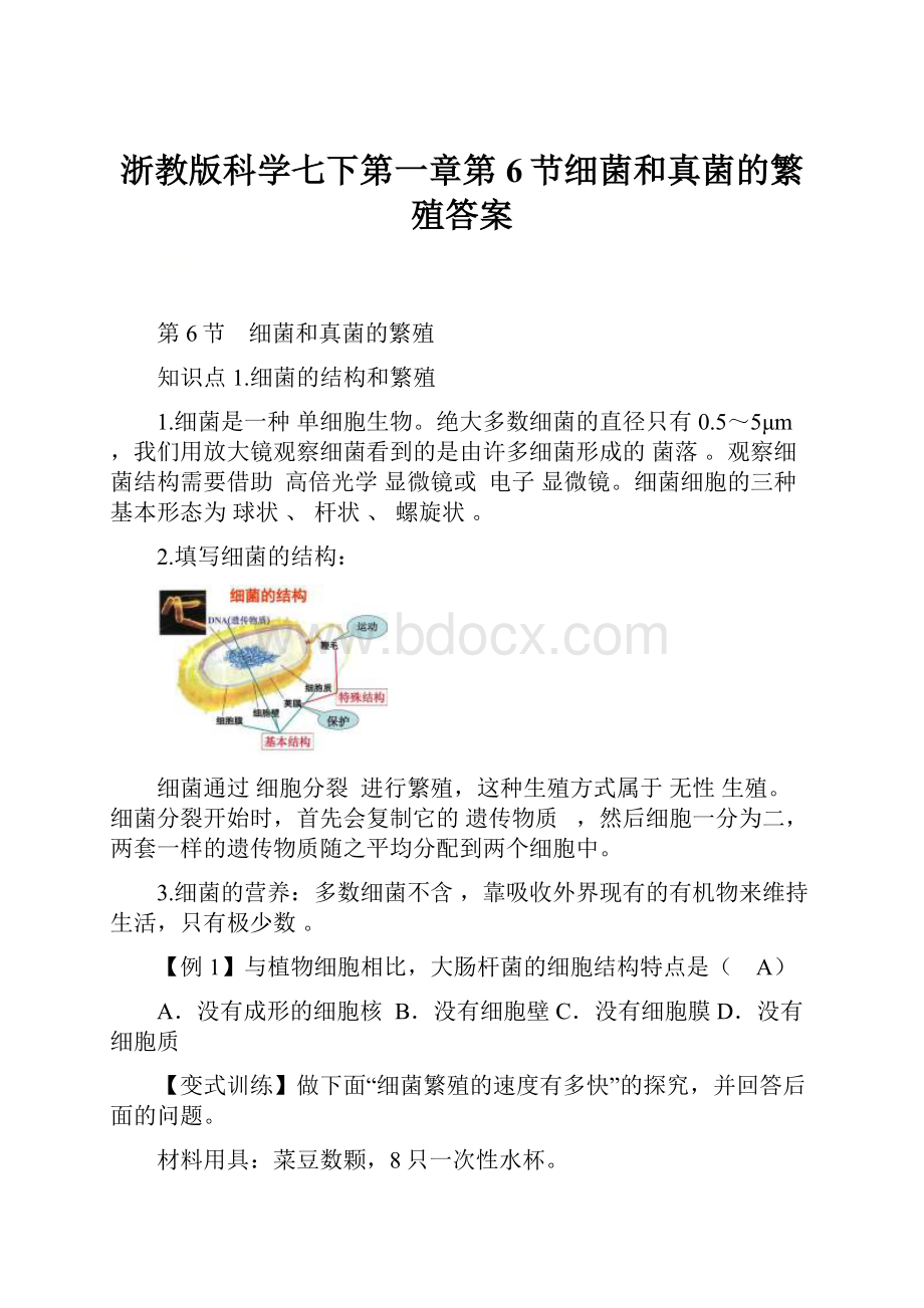 浙教版科学七下第一章第6节细菌和真菌的繁殖答案.docx