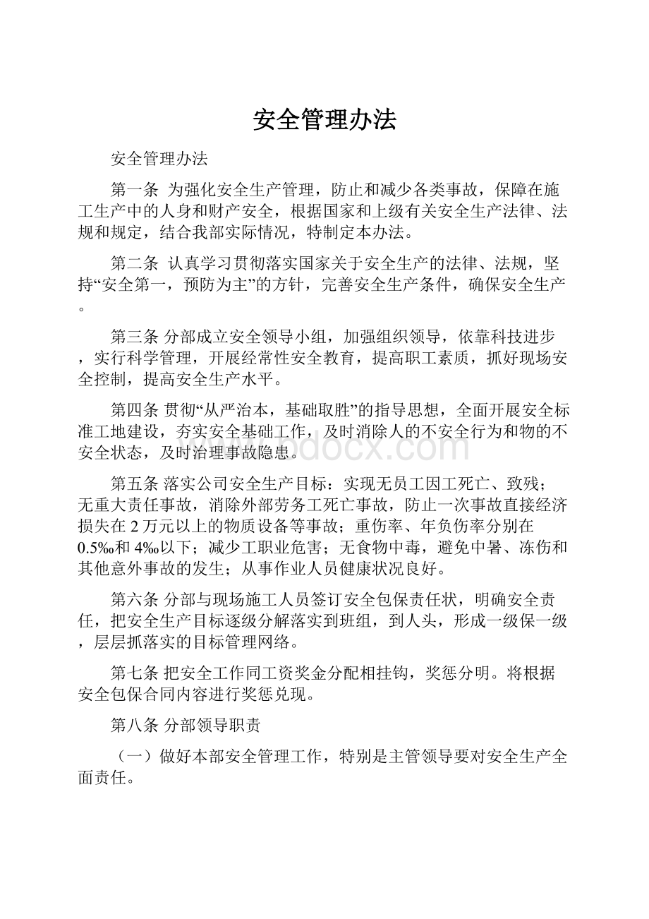 安全管理办法.docx_第1页