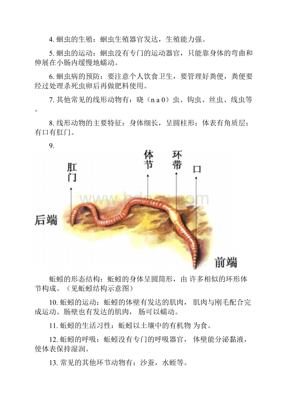 人教版八年级上册生物学知识点.docx_第3页