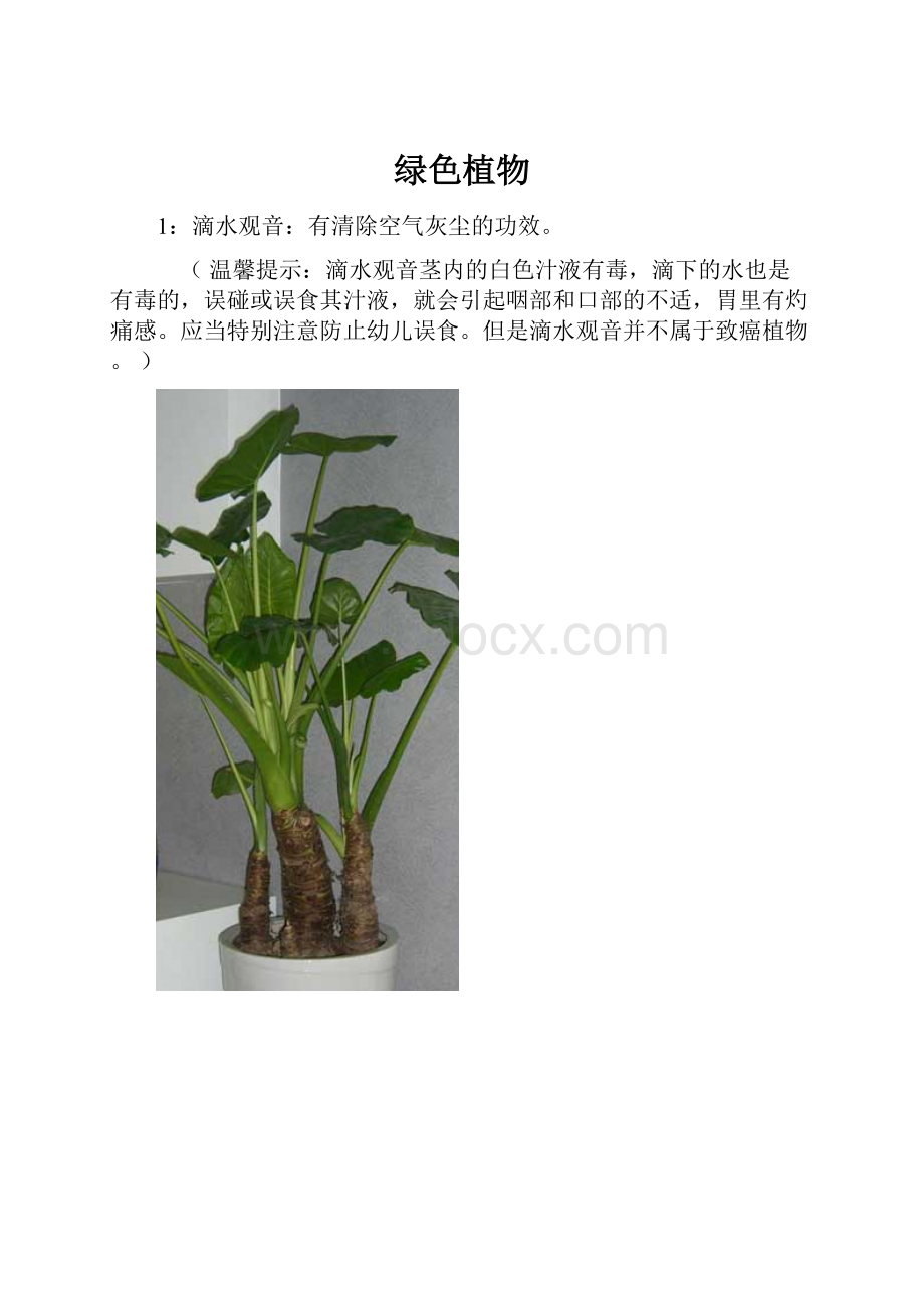 绿色植物Word文件下载.docx