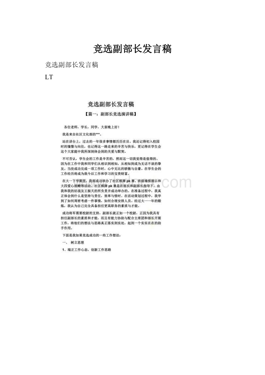 竞选副部长发言稿文档格式.docx