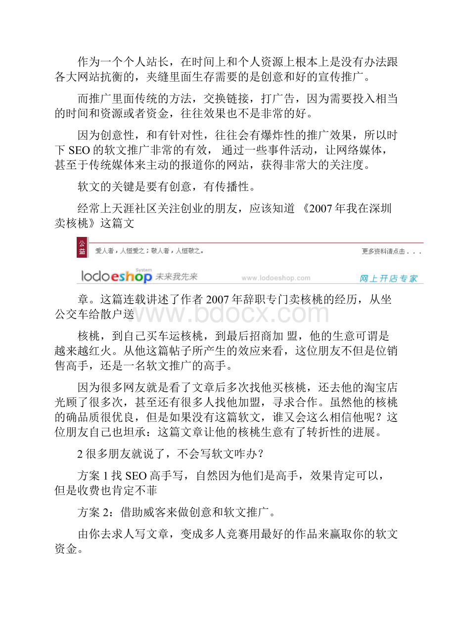 不懂技术照样SEO轻松推广网站Word格式文档下载.docx_第2页