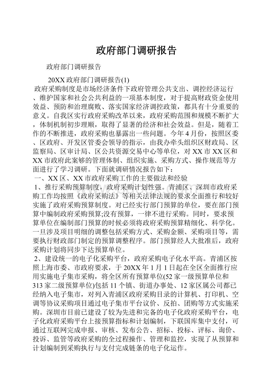 政府部门调研报告.docx