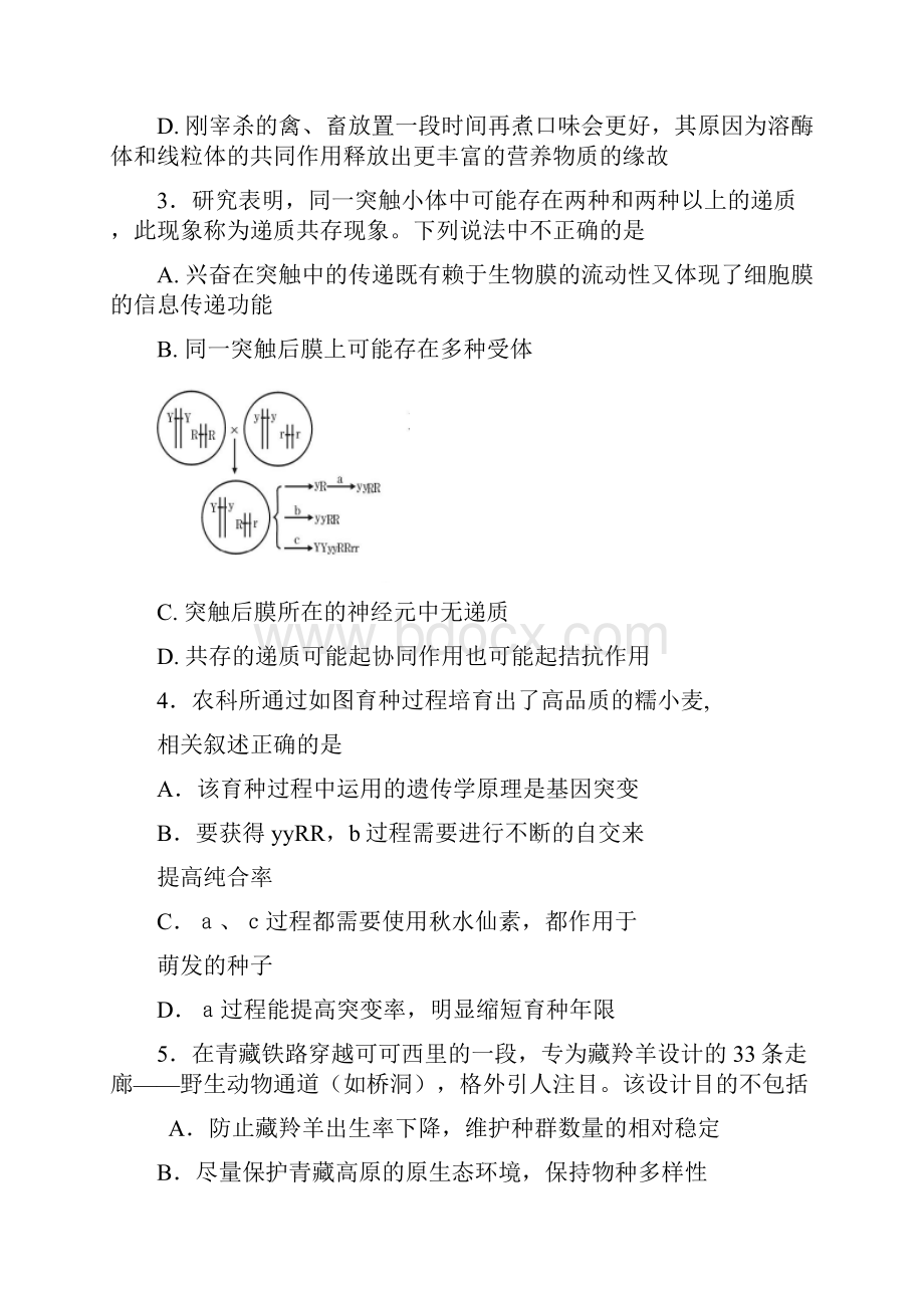 甘肃省宁夏银川一中届高三年级第二次模拟考试理综试题.docx_第2页