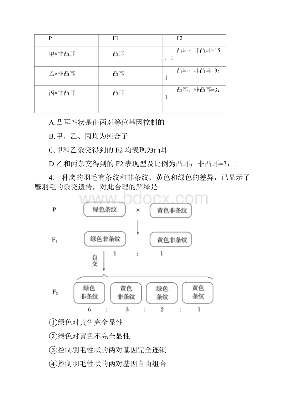 黑龙江省哈师大附中届高三上学期期中考试生物试题Word格式.docx_第2页