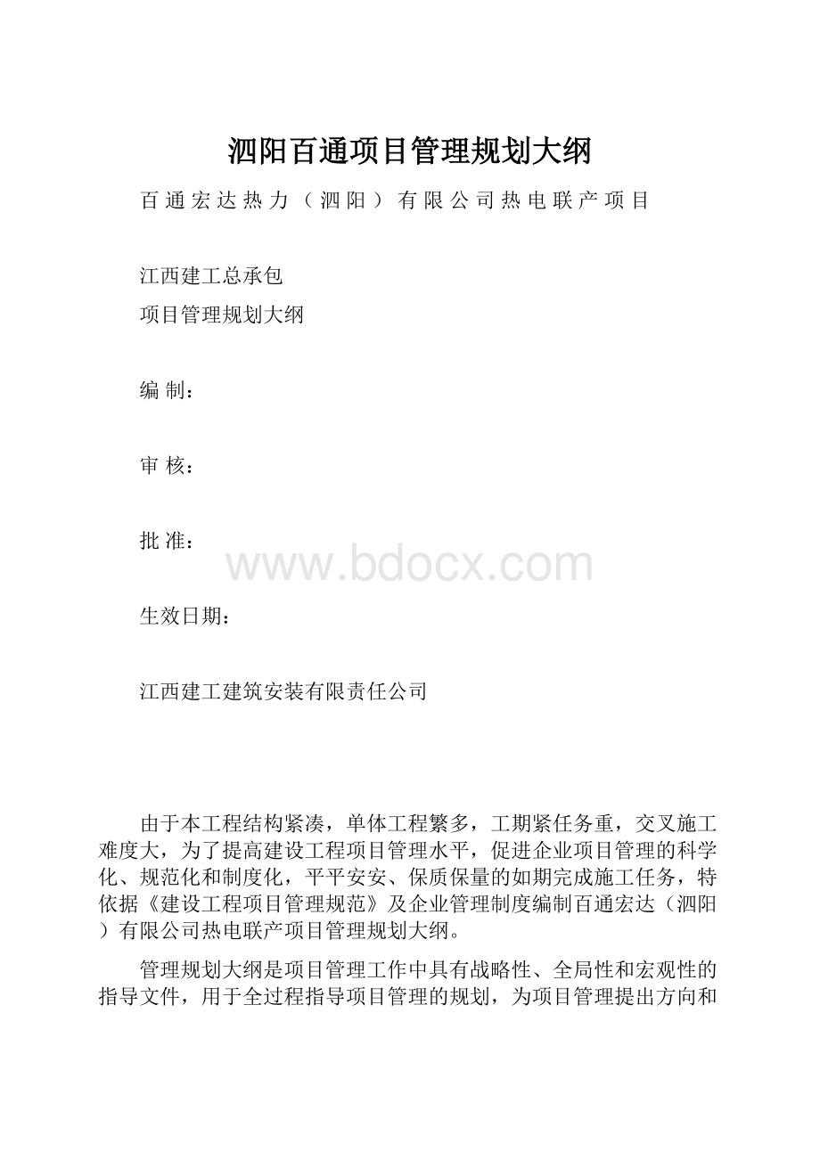 泗阳百通项目管理规划大纲Word格式文档下载.docx