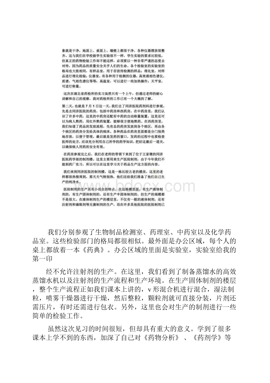 工作总结之药学实验室实习总结.docx_第3页