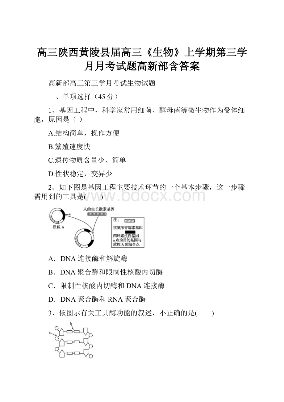 高三陕西黄陵县届高三《生物》上学期第三学月月考试题高新部含答案Word文档格式.docx_第1页