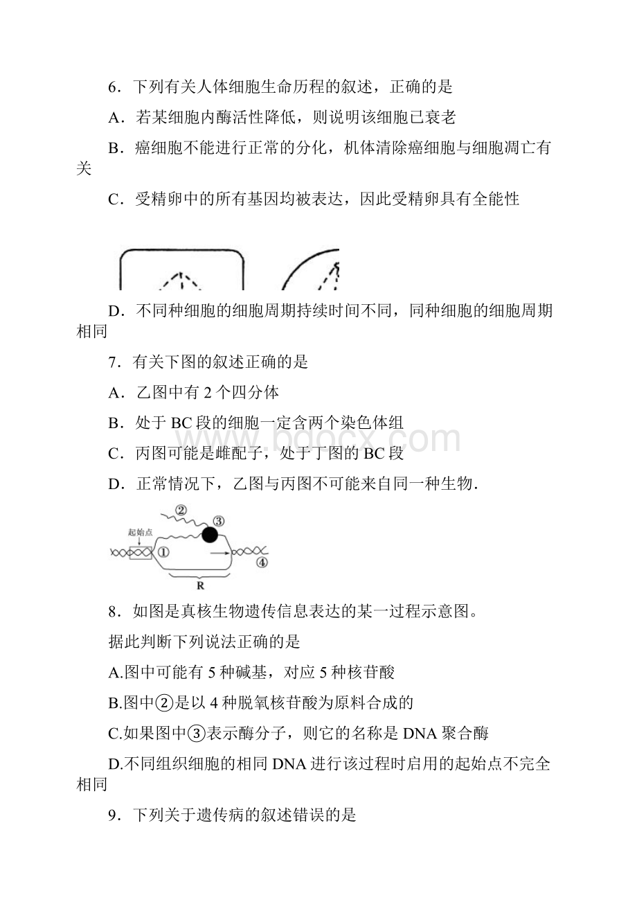 江苏省徐州市届高三考前模拟生物试题Word版含答案doc.docx_第3页