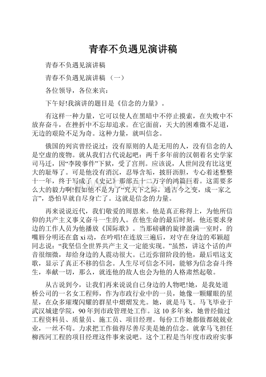 青春不负遇见演讲稿Word文档下载推荐.docx_第1页