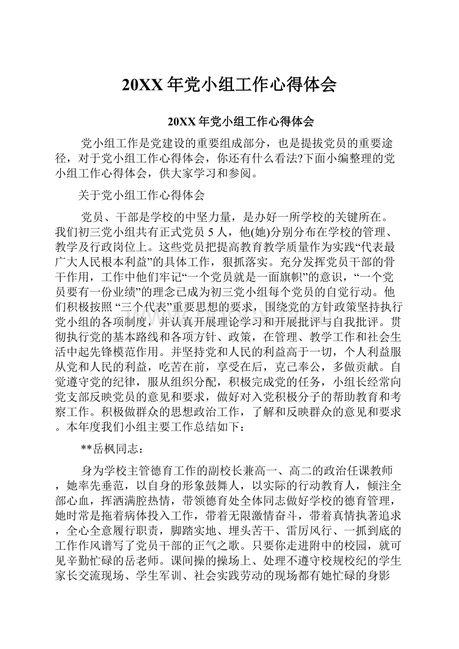 20XX年党小组工作心得体会Word文档下载推荐.docx