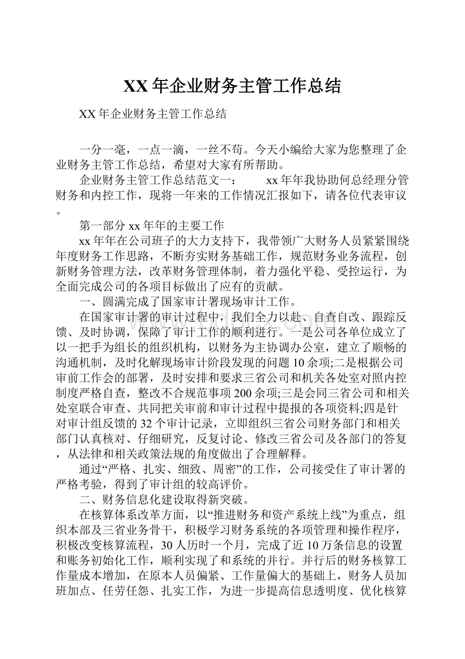 XX年企业财务主管工作总结.docx